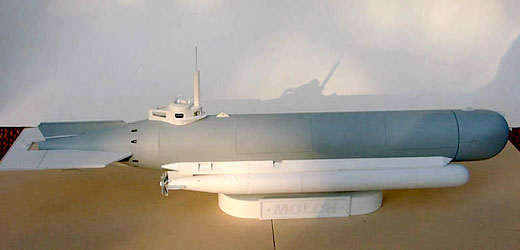 Kleinkampfmittel U-Boot Molch