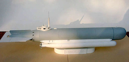 Kleinst-U-Boot Molch