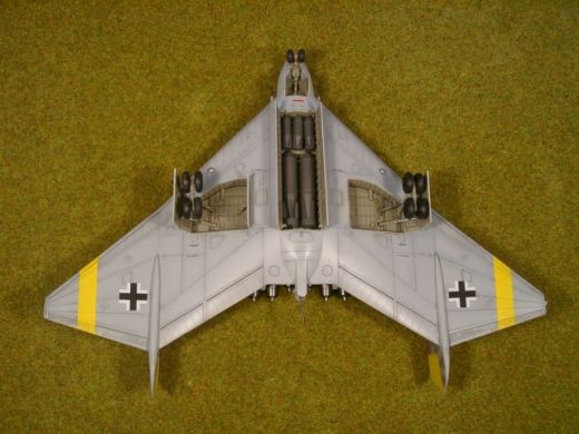 Arado Ar E 555
