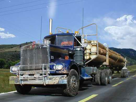 Kenworth 925 mit Logging Trailer