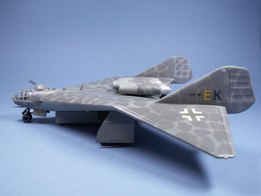Arado Ar E 555