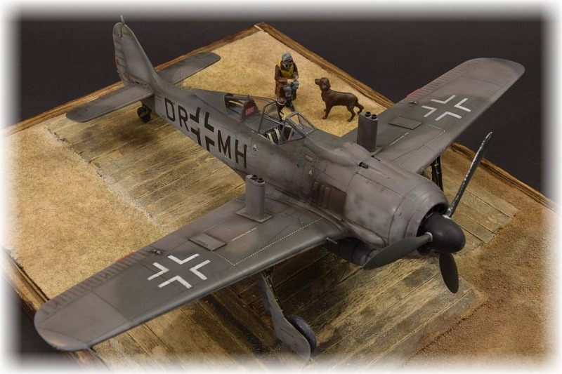 Focke-Wulf Fw 190 F-8 (V75)