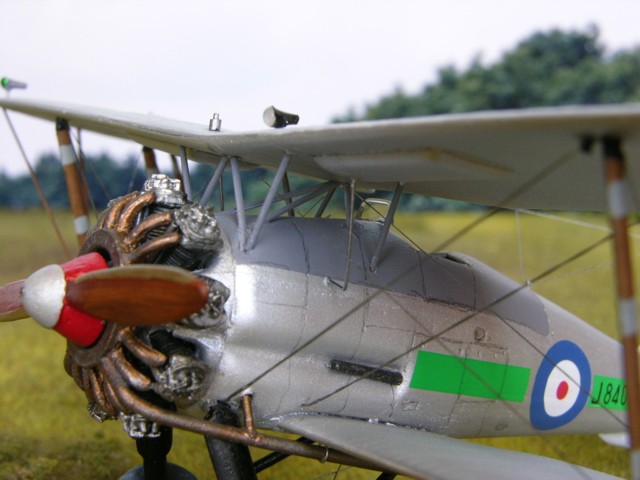 Gloster Gamecock