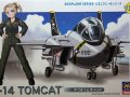 F-14 Tomcat