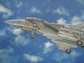 F-14A Tomcat
