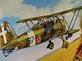 Fiat CR.42 AS