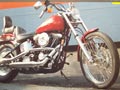 Harley Davidson Softail Custom