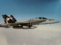 F/A-18C Hornet 'VFA-131 Wildcats CAG'