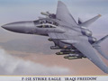 F-15E Strike Eagle "Iraqi Freedom"