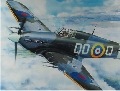 Hurricane Mk.II C