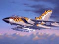 Tornado ECR "Tigermeet 2001/02"