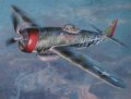 P-47D Thunderbolt