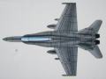 F/A-18D Hornet