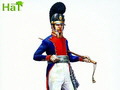 Bavarian Infantry Command von H�T