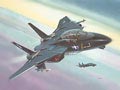 F-14A Black Tomcat