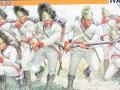 Austrian Infantry - Napoleonic Wars