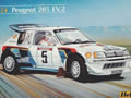 Peugeot 205 EV.2