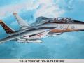Grumman F-14A Tomcat "VF-33 Tarsiers"