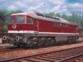 BR 130/230