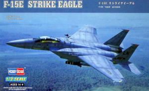 : F-15E Strike Eagle