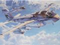 Grumman EA-6B Prowler "Black Ravens"