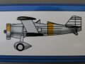 Curtiss BFC