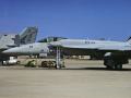 F/A-18E Super Hornet "VFA-143 Pukin Dogs"