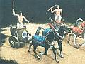 Egyptian Cavalry