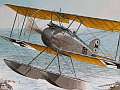 Albatros W.4