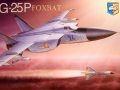 MiG-25P