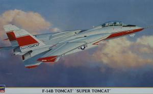 Galerie: F-14B Tomcat 'Super Tomcat'