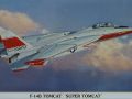 F-14B Tomcat 'Super Tomcat'