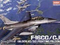 F-16CG/CJ (Block40/50)