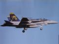 F/A-18C Hornet VFA-192 Golden Dragons 2007
