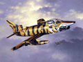 Fiat G. 91 Tiger-Meet