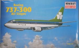 Boeing 737-300 Aer Lingus