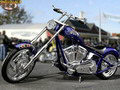 Custom Chopper ACES WILD