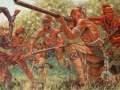 Indian Warriors