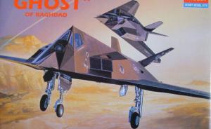 : F-117A Stealth Fighter (The "Ghost" of Baghdad)