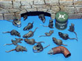 G.I. Rats