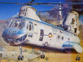 CH-46E Seaknight "Bull Frog"