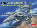 F/A - 18 C Hornet "Operation Iraqi Freedom"