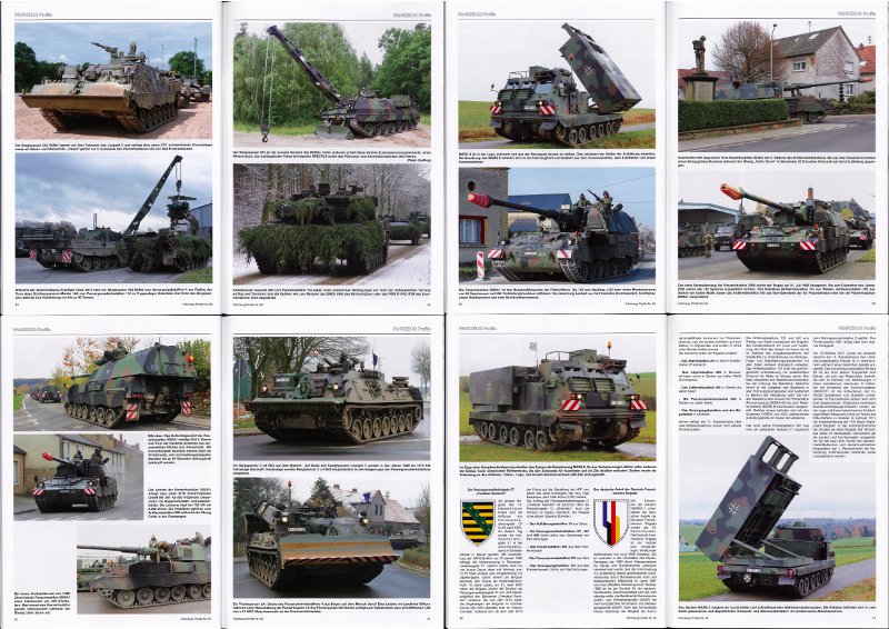  - Die 10. Panzerdivision im HEER 2011