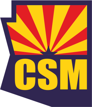 Logo Copper State Models