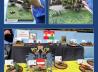 Euro Model Expo Teil 3