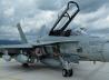 McDonnell Douglas CF-188 Hornet