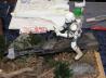 6. Jahresausstellung des MBC Camouflage