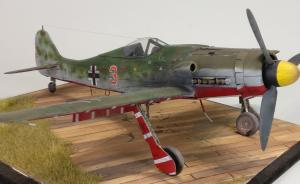 Bausatz: Focke-Wulf Fw 190 D-9