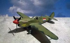 Curtiss P-40N Warhawk