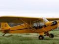 Piper J-3 Cub (1:48 Special Hobby)